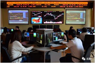 会计与金融学院投资管理专业 培养未来金融精英的摇篮