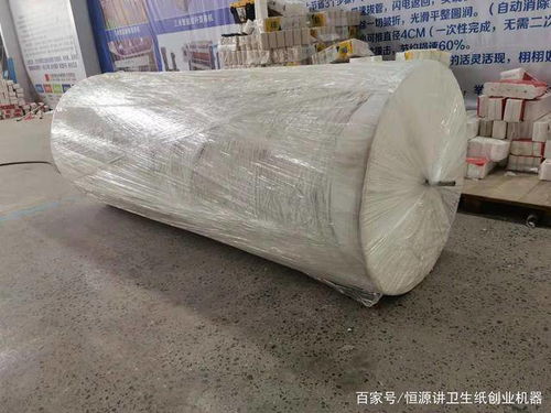 投资建设卫生纸加工厂 资金需求与管理策略详解