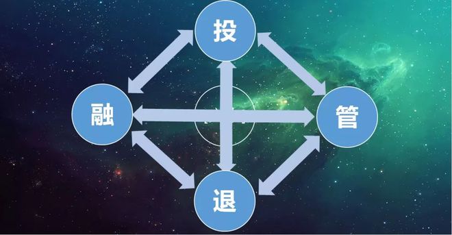 林宝泰 以“资产管理”为核心，打通融投管退全流程